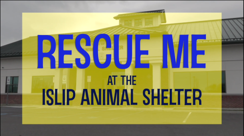 Thumbnail image for Rescue Me