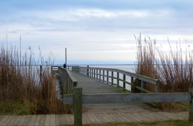Bay Bottom Licensing Program Image