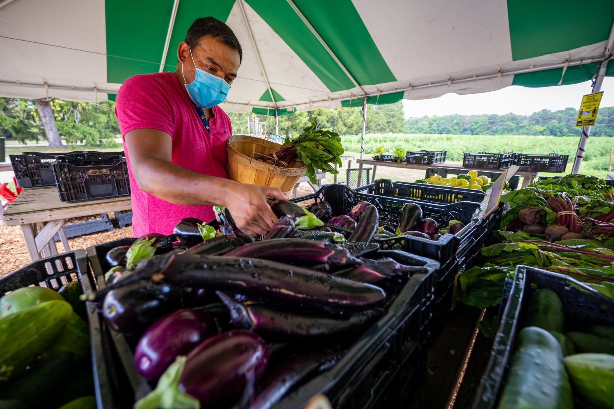 man in mask shops eggplant in farmers market