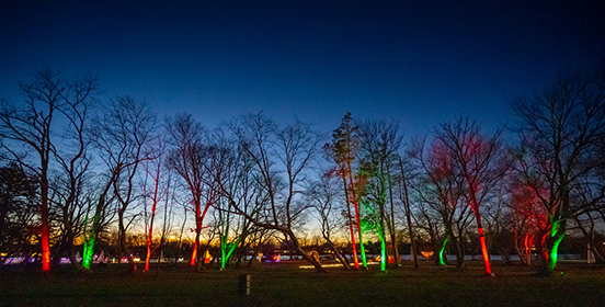 Trees are lit in green and red with the sun setting behind