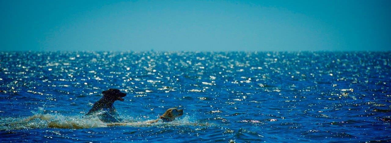 Water Safety is Key