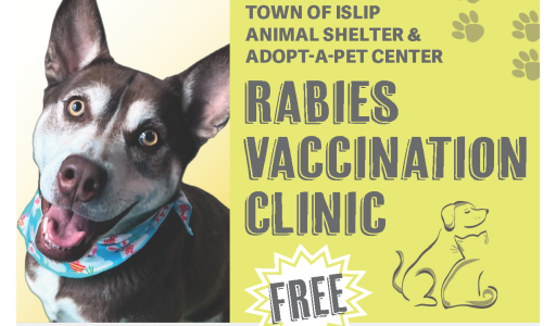 FREE Rabies Clinic