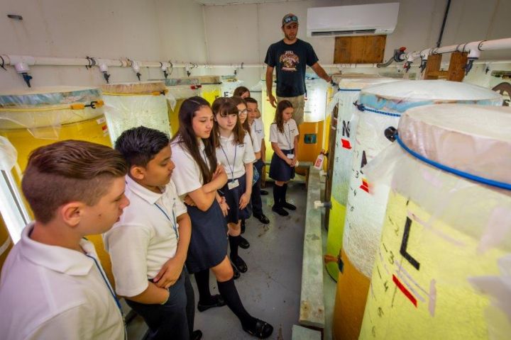 Students look on at larger tanks filled with different variables of water and liquid as a facility attendant explains