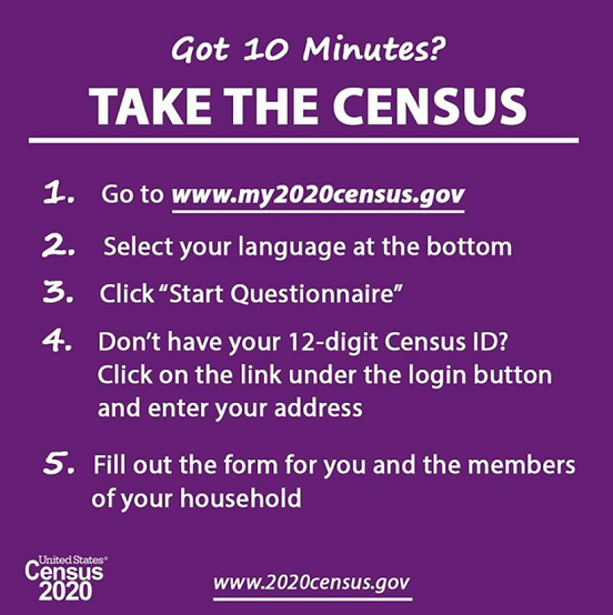 2020 Census graphic