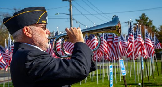 Veteran plays Taps in front of row of sunlit American Flags
