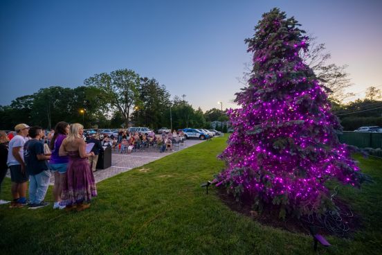 Tree illumnated in purple as community looks on