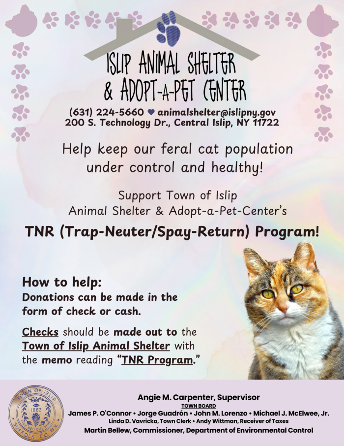 TNR Flyer