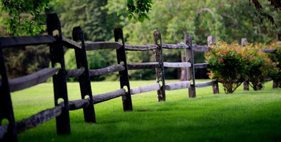image of grass and fence