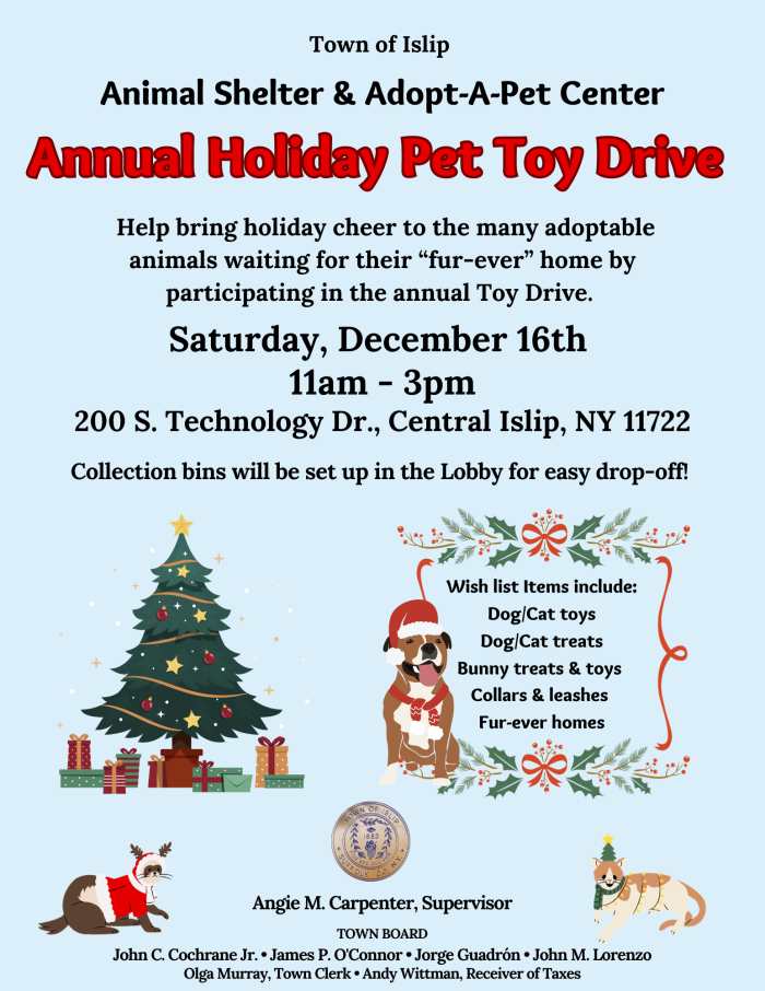 Animal Shelter Pet Toy Drive Flyer